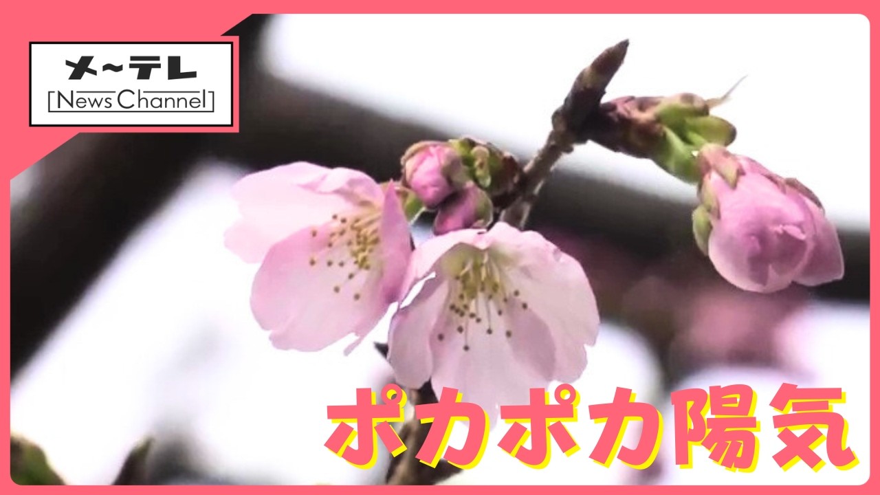 名古屋で今年初の20℃超　一足早い“春の訪れ”🌸　一方で雪解け早く雪遊びに影響も