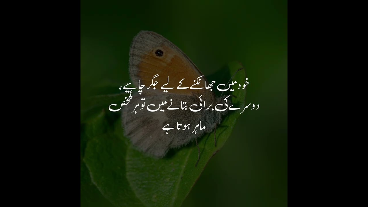 Life Changing Quotes | Golden Words In Urdu| Urdu Quotes Heart Touching | 