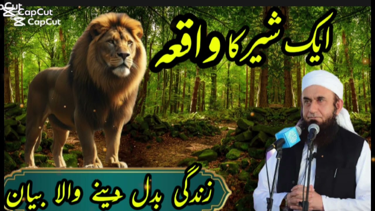 Ek Sher Ka Waqia | Himmat, Sabr Aur Qudrat Ka Sabak by Mulana Tariq Jameel #islamicvideo​ 