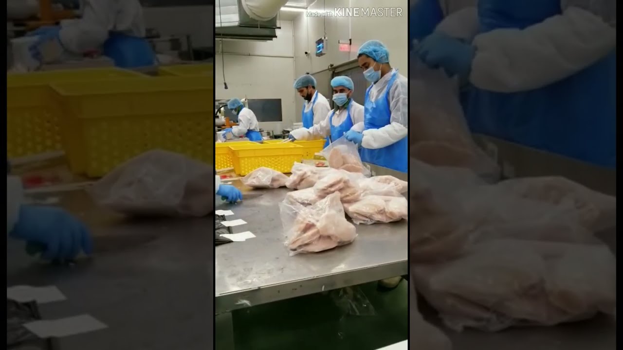 Chicken nuggets KFC||&nbsp; zamil food industry|| Saudi Arabia||