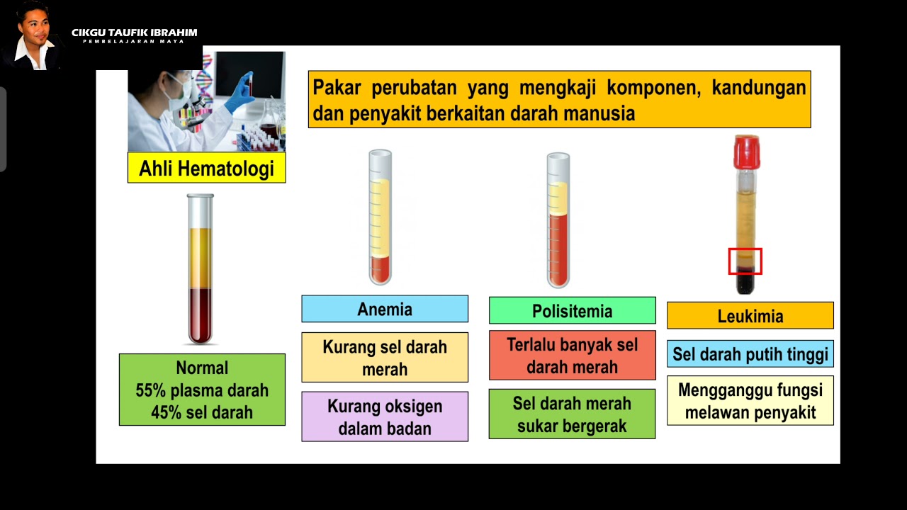Sains Tingkatan 3 KSSM I Bab 3 Pengangkutan I 3.3 Darah Manusia Bahagian 1