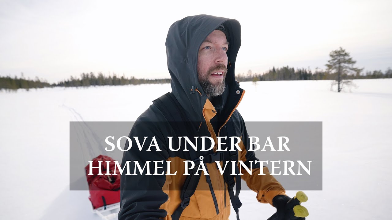 Sova under bar himmel på vintern