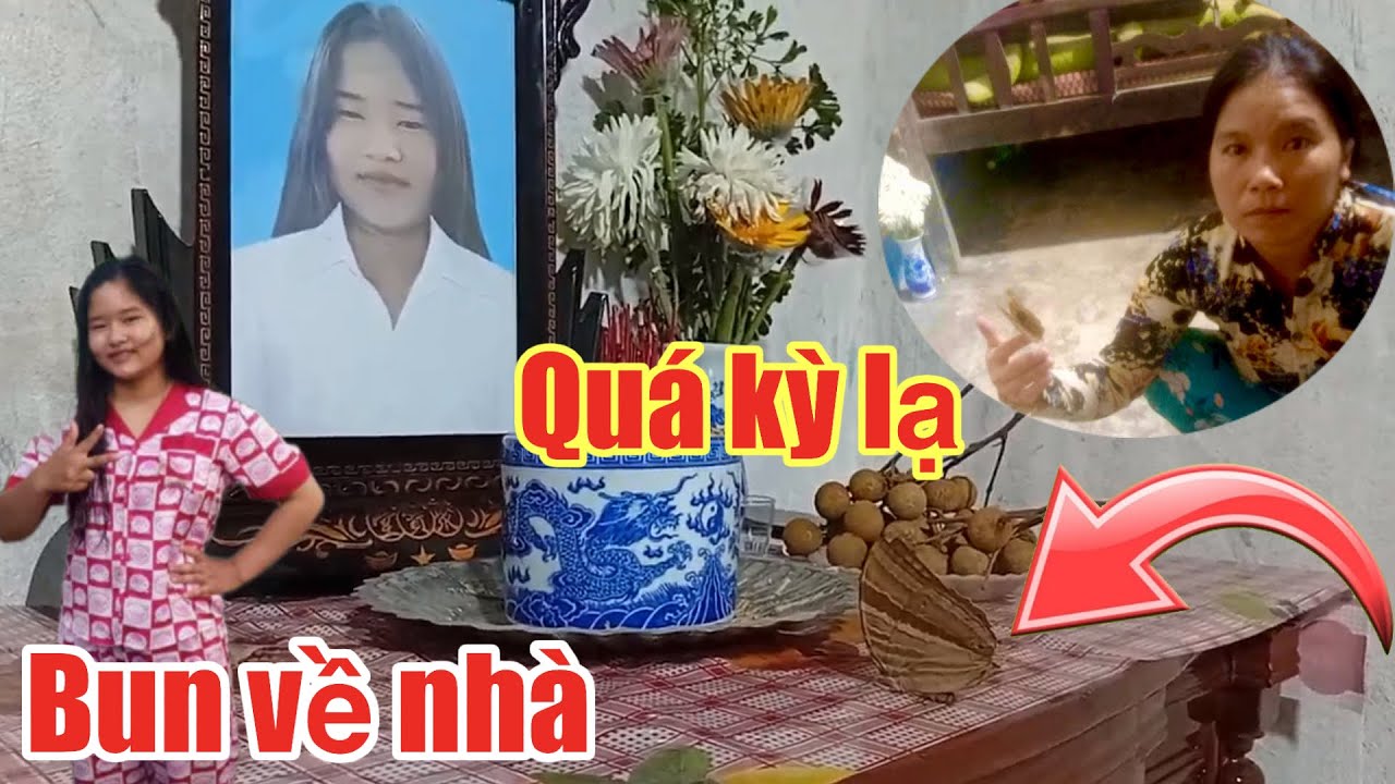 Chuyện lạ có thật bé Bun hóa thành Bướm bay về nhà thăm Con