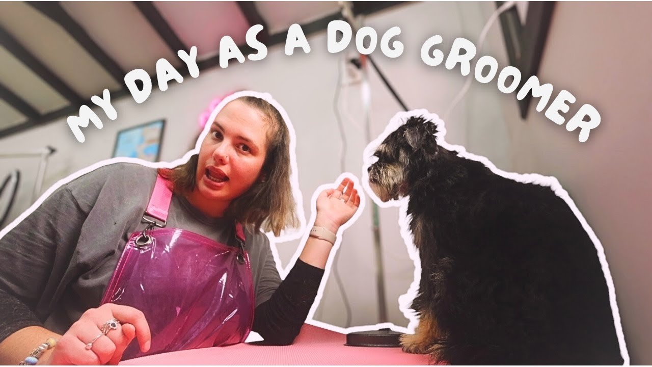 Transforming Pups: A Day in the Life of a Dog Groomer!