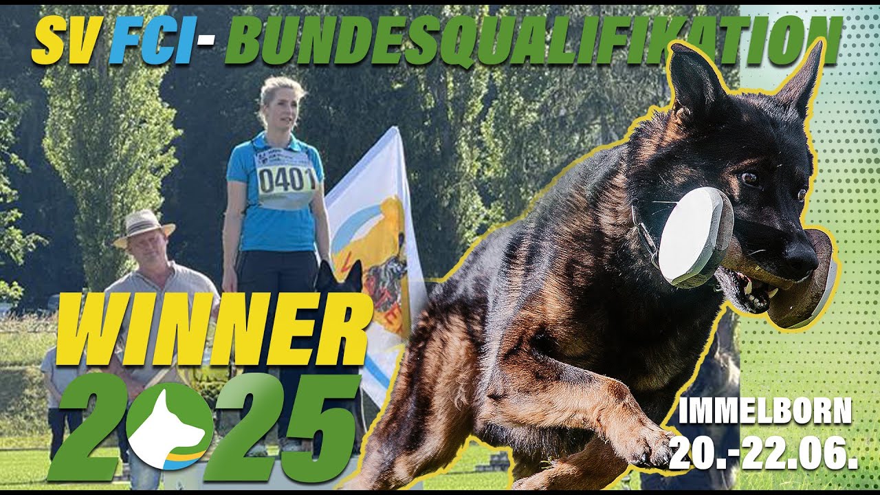 Winner / FCI Bundesqualifikation SV 2025 / Lisa Maus / Elvis von der Reichsbahn / working-dog