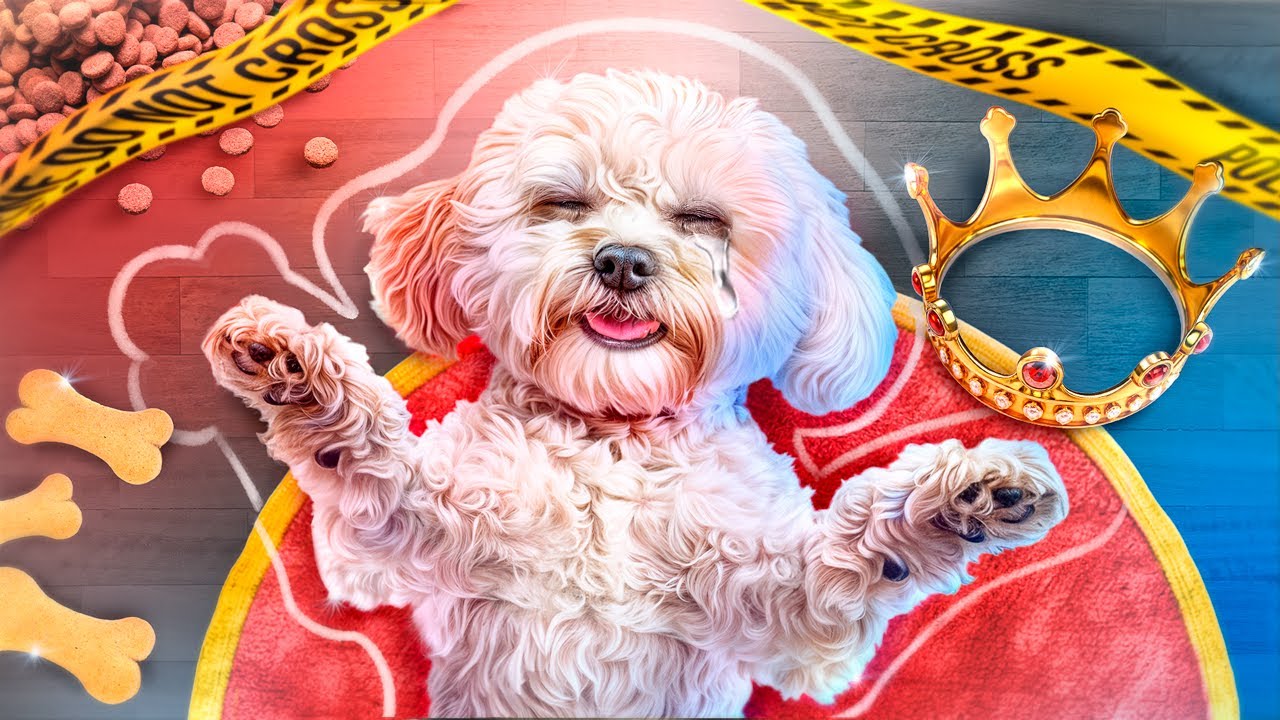 Gigantisch Cluedo-Spel bij de Koninklijke Familie! Wie Heeft een Hond Vermoord?