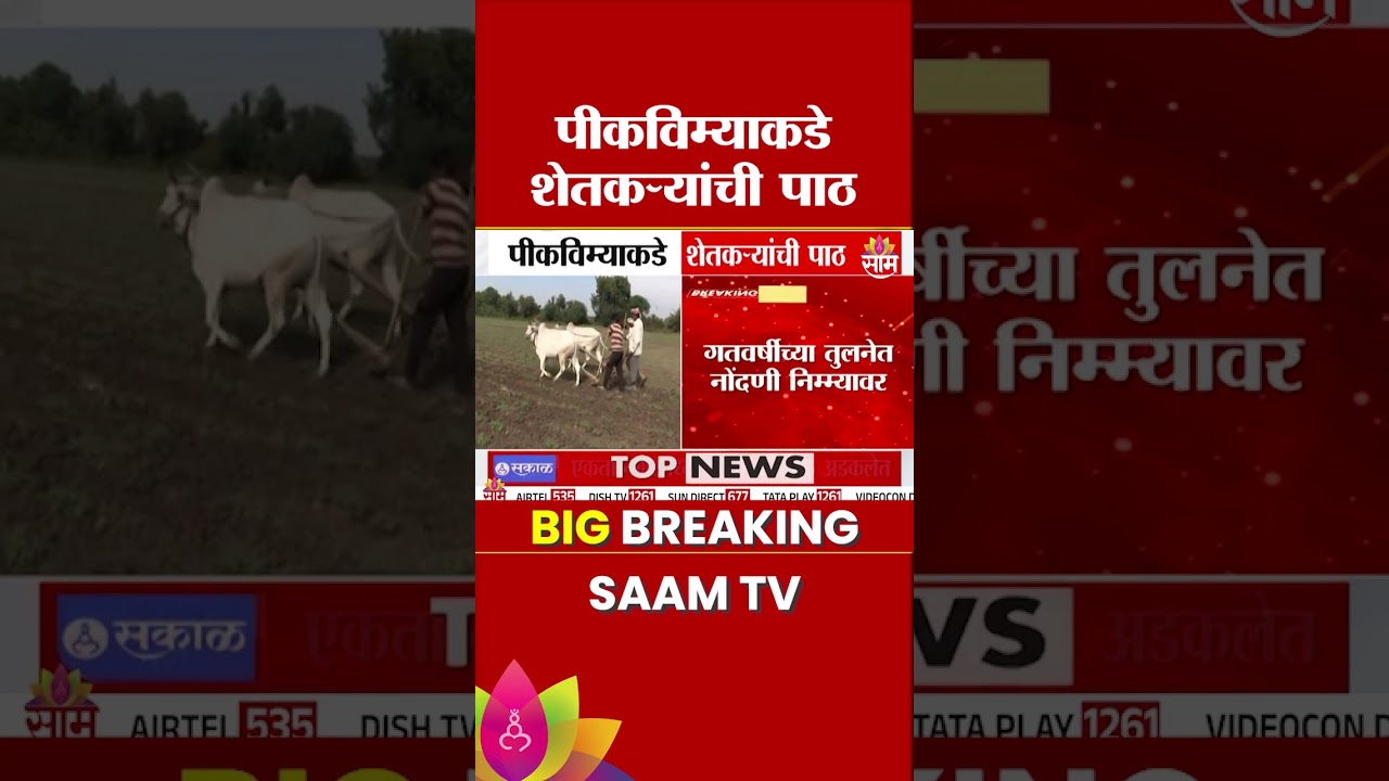 पीकविमा योजनेकडे शेतकऱ्यांची पाठ! | Crop Insurance Scheme