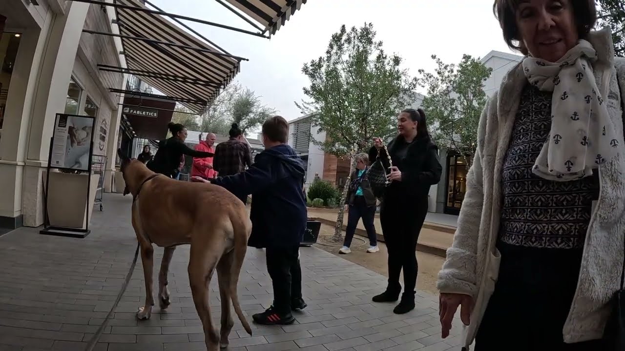 Cash 2.0 Great Dane в торговом центре Westfield 26