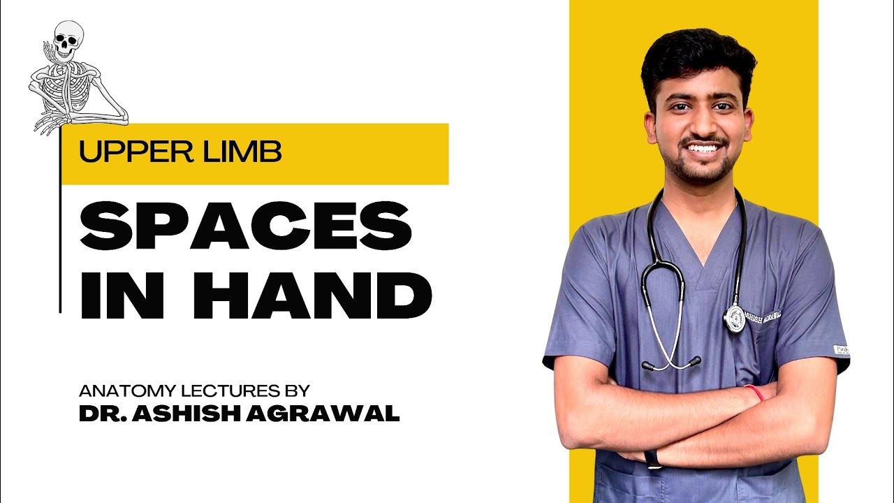 Spaces in Hand || Upper Limb Anatomy || First Year MBBS || Anatomy lectures by Ashish