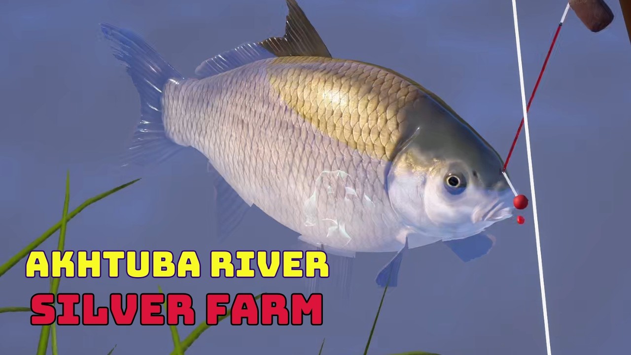 Farma Buffalo | Akhtuba River | Russian Fishing 4
