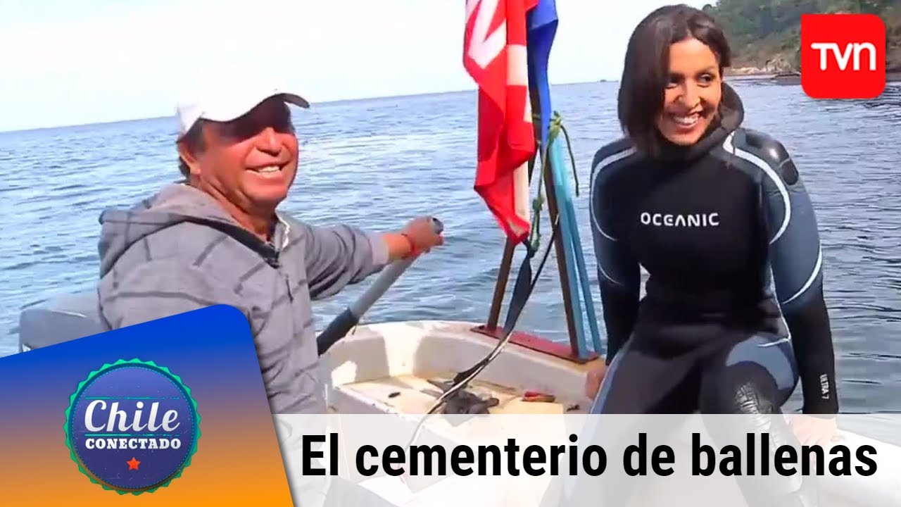El cementerio de ballenas chome | Chile conectado | Buenos días a todos