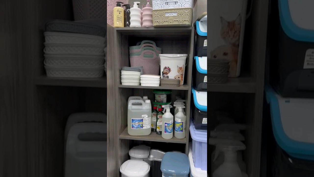 Plasticware Deals