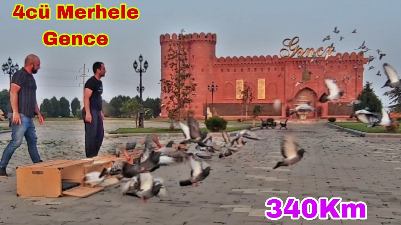 Posta Yarışı 4cu Merhele Gence 340 Km 2023