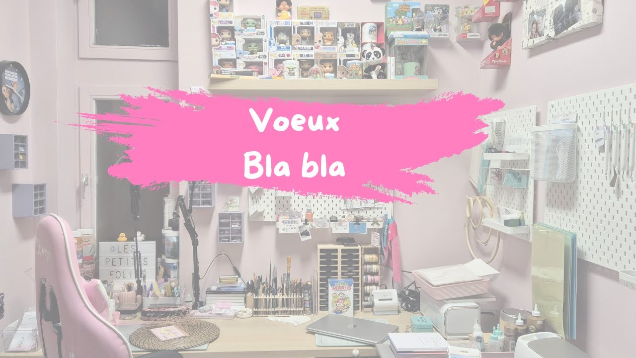 Mes voeux 2026 ~ avenir de la chaîne ~ j'ai besoin de vous ~ lancement FAQ