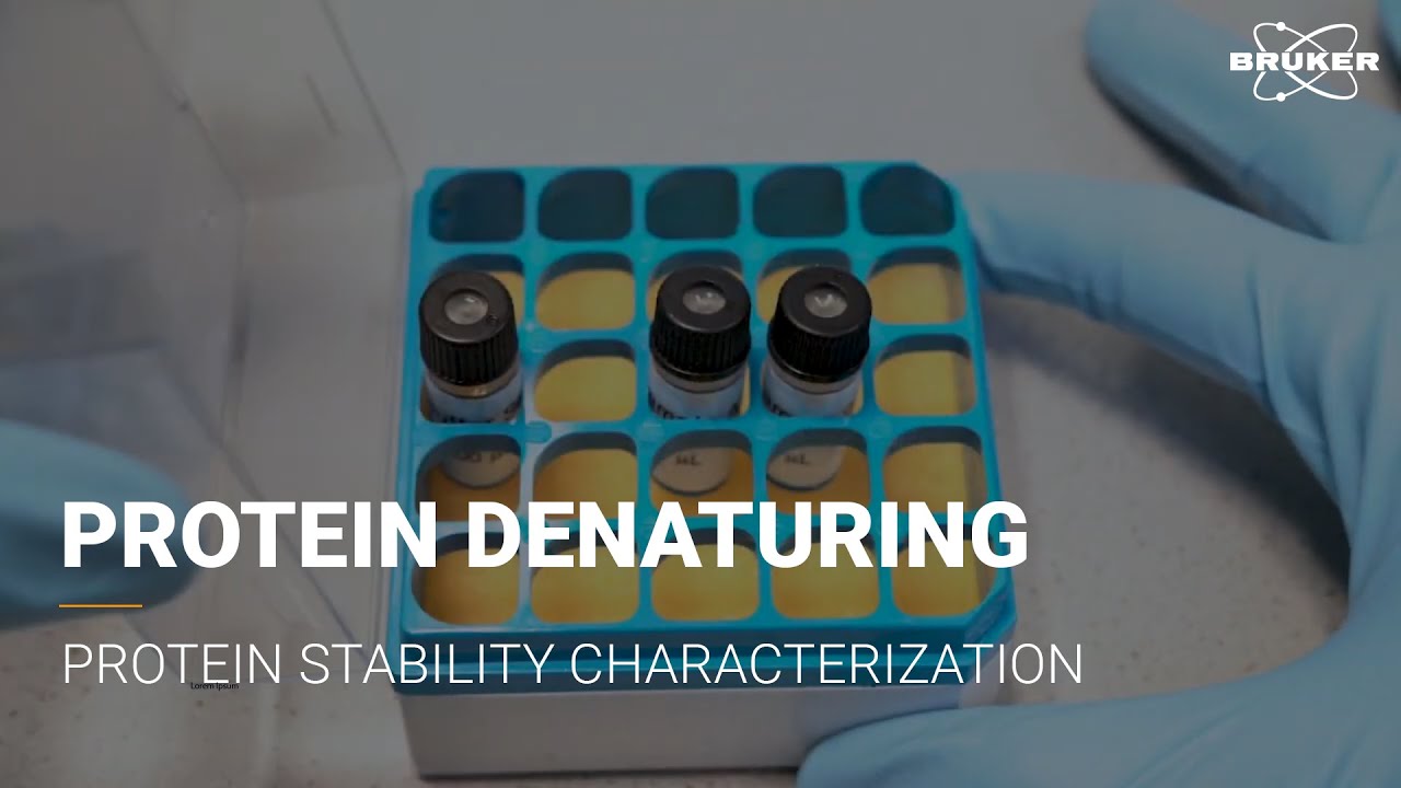 Protein Stability Characterization | FT-IR Spectroscopy | Antibody Research I INVENIO FT-IR