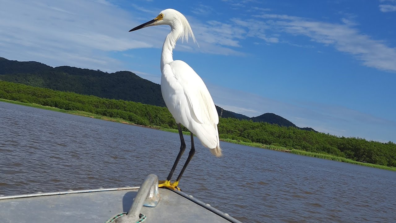 Pesca embarcada no mar pequeno de Igaupe SP 
