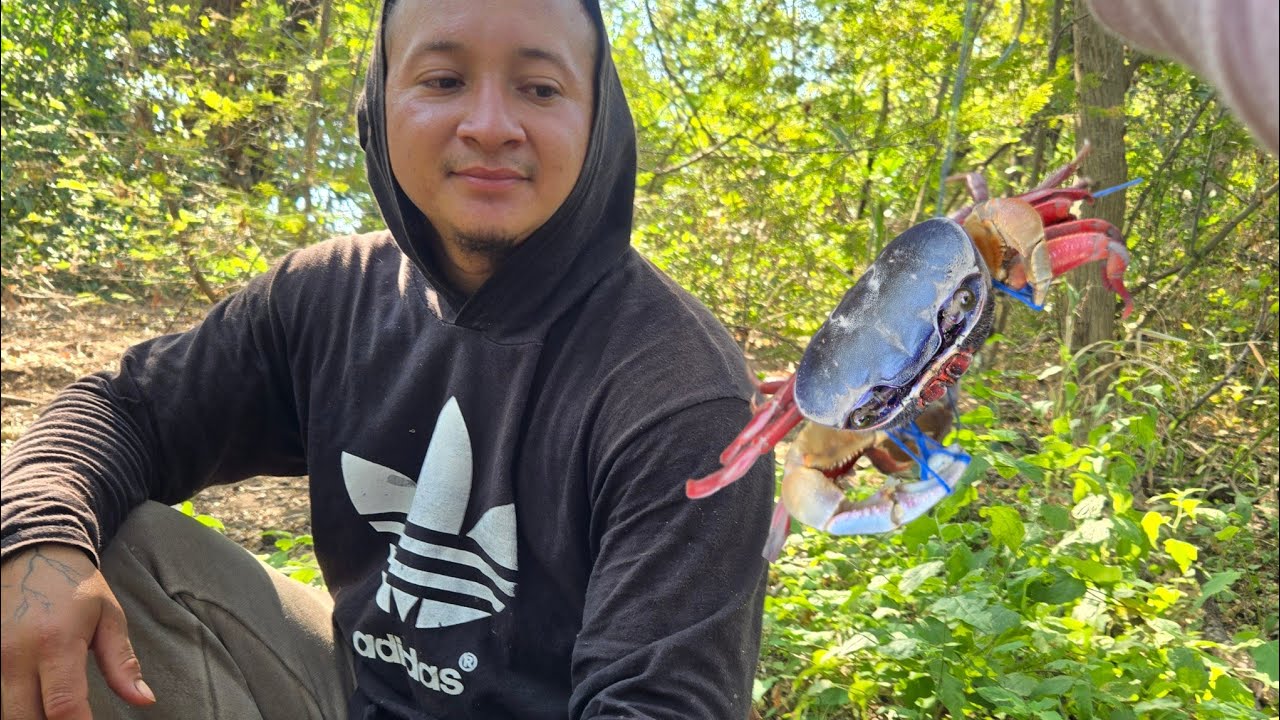 🛑 Elvin anda buscando cangrejos 🦀 a la orilla de la manglera😃