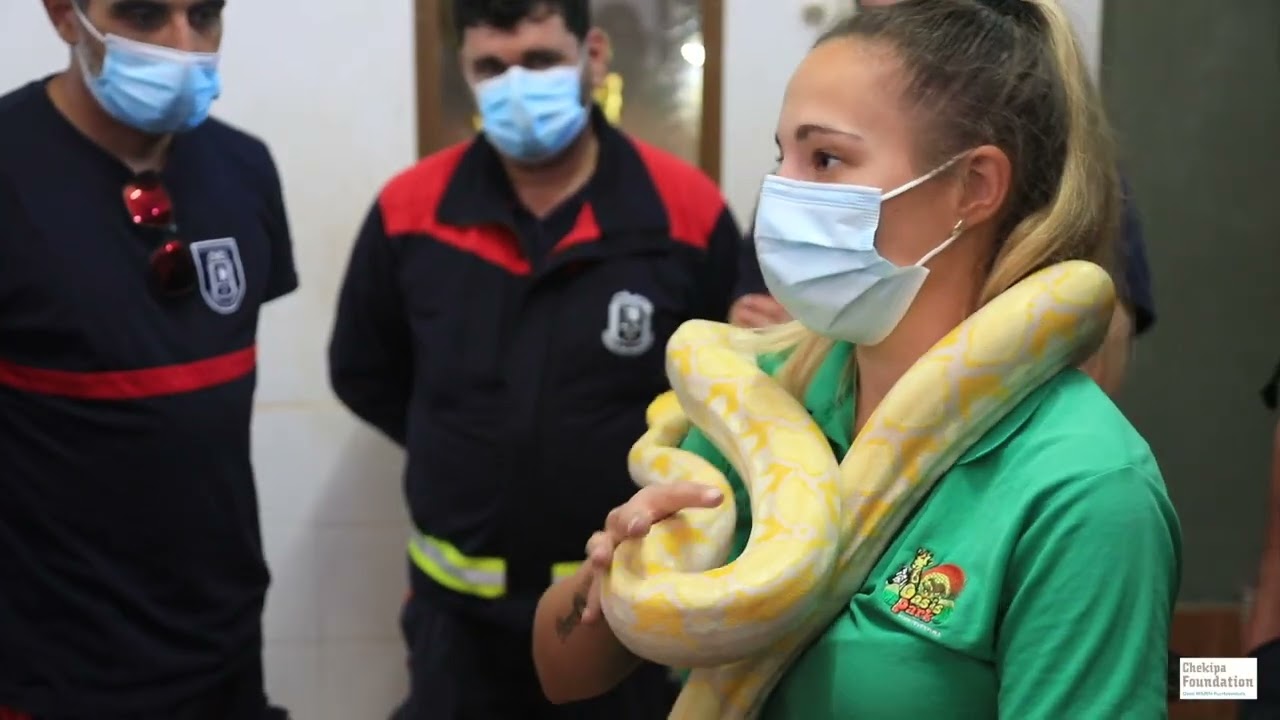 Curso en Identificación, Manejo y Rescate de animales
