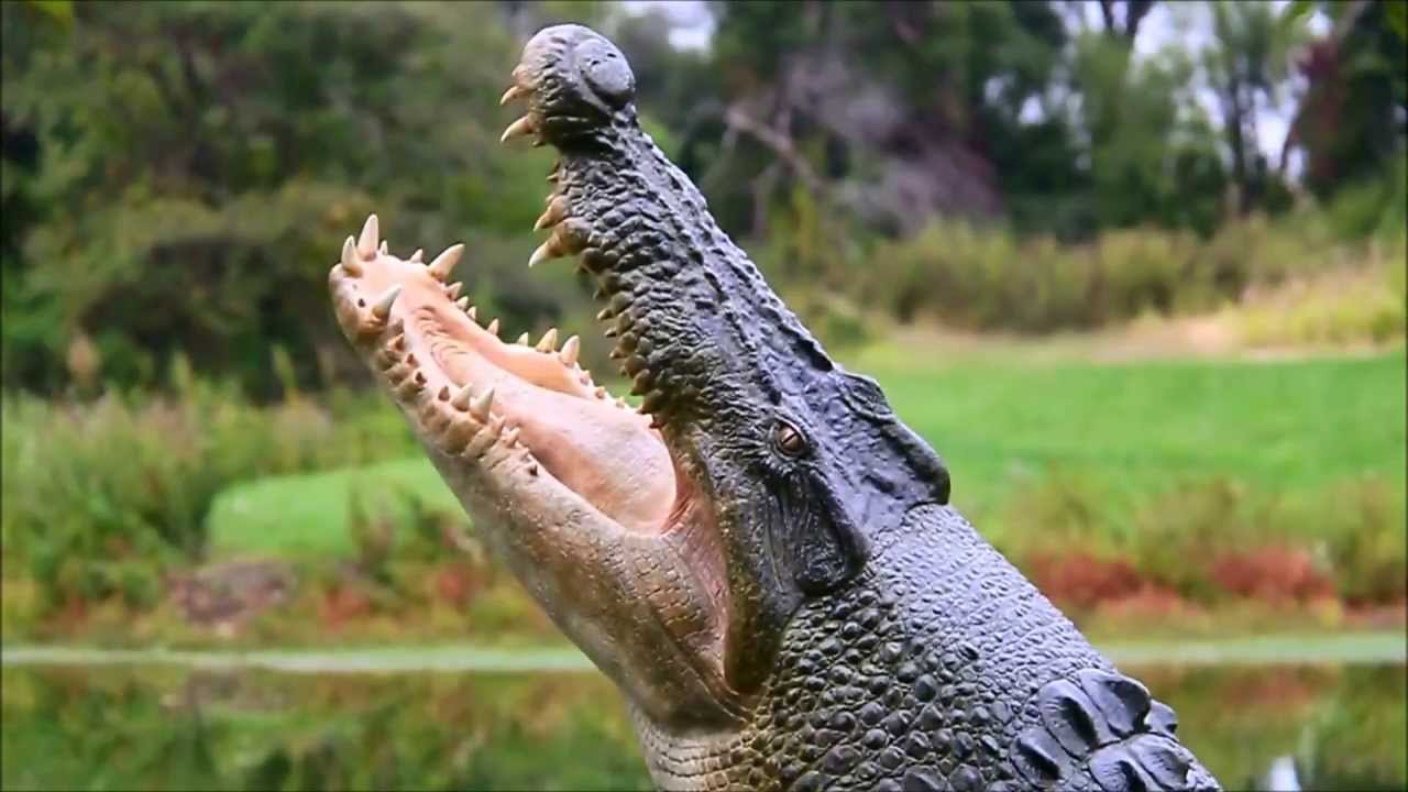 How to make a Large Crocodile sculpture.