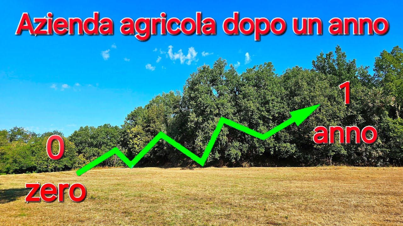 Aprire un'azienda agricola da zero - dopo un anno a che punto siamo?