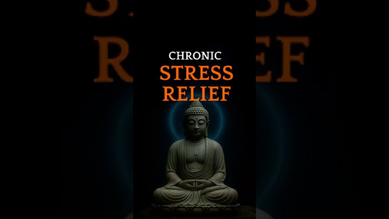 Breaking Free from Long-Term Stress with Buddhist Meditation