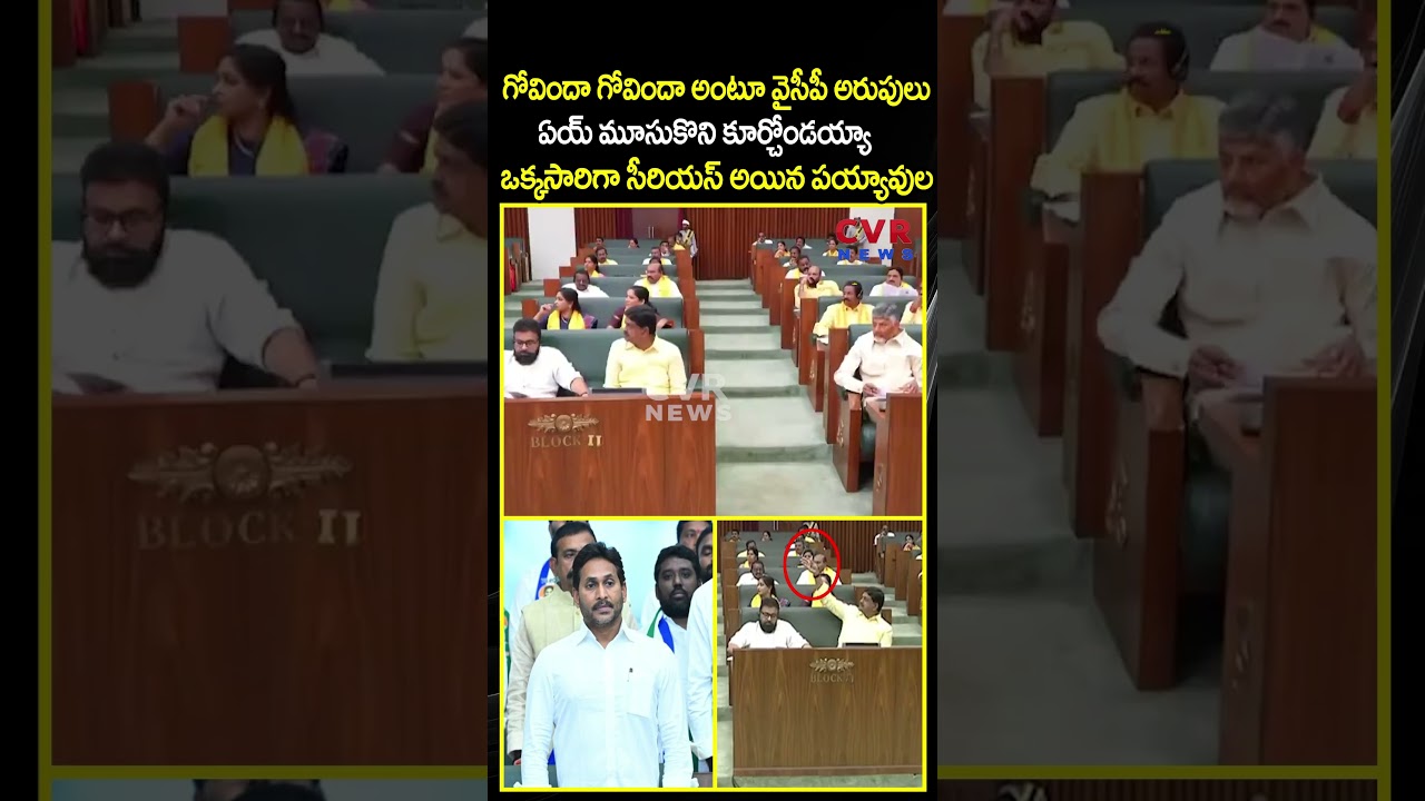 ఏయ్ మూసుకొని కూర్చోండయ్యా ఒక్కసారిగా సీరియస్ అయిన పయ్యావుల | AP Assembly | CVR NEWS