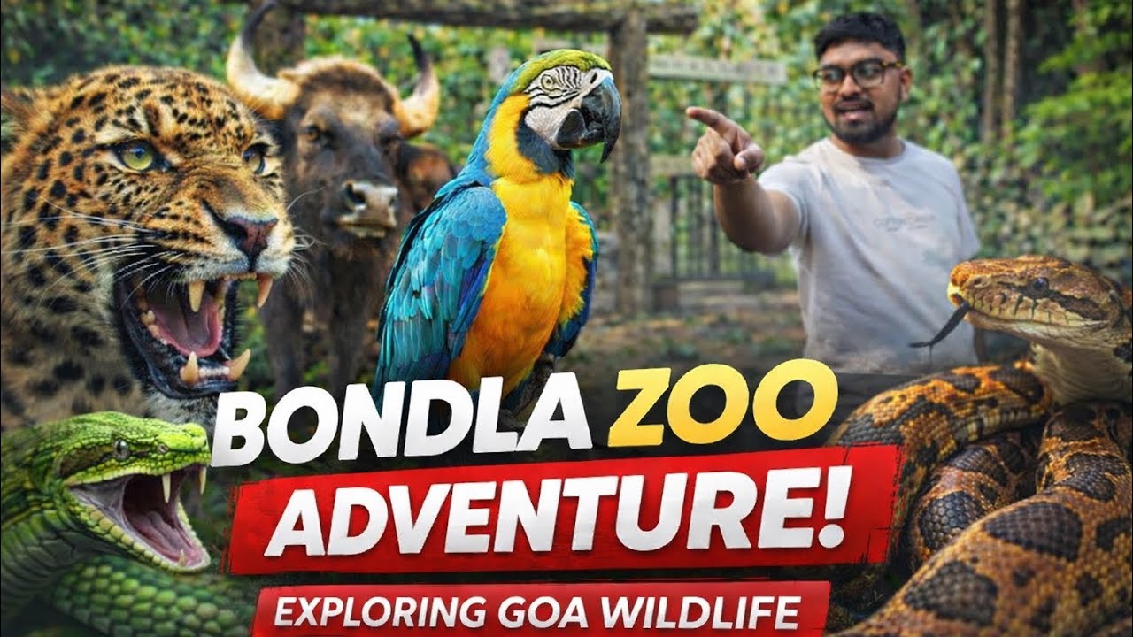 Bondla Zoo Goa Full Tour | Goa Wildlife Sanctuary Vlog