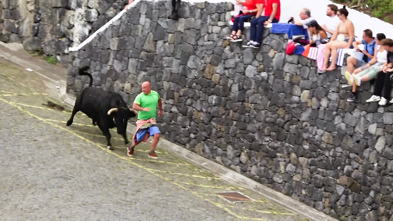Vila Porto Judeu - Tourada No Porto De Pescas - Touros FP (45,51,50,40) - 21/7/2025 - Ilha Terceira