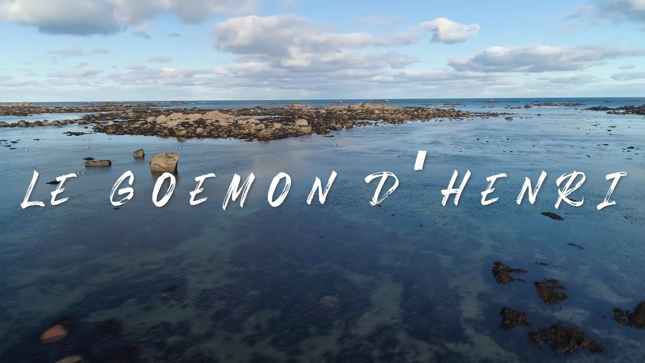 Le Goémon d'Henri - ALGUESTRAN