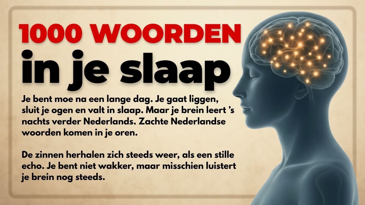 Leer Nederlands in je slaap: zo leer je makkelijk en effectief!