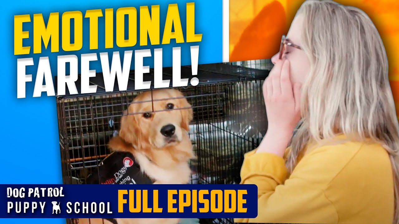 Heart-wrenching Goodbye To Foster Puppies | Puppy School - Season 1 Episode 2
