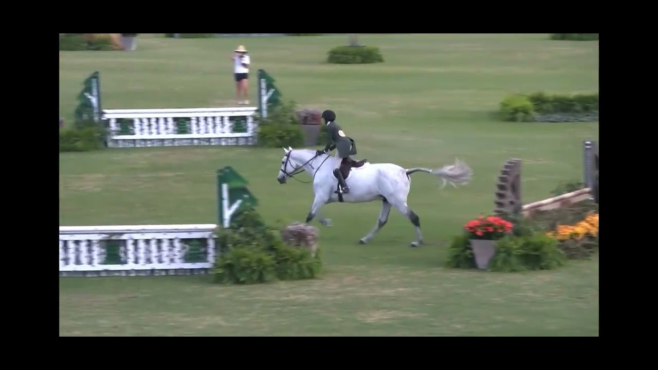 5th Place out of 55 - National Hunter Derby (Score 85 & 82)
