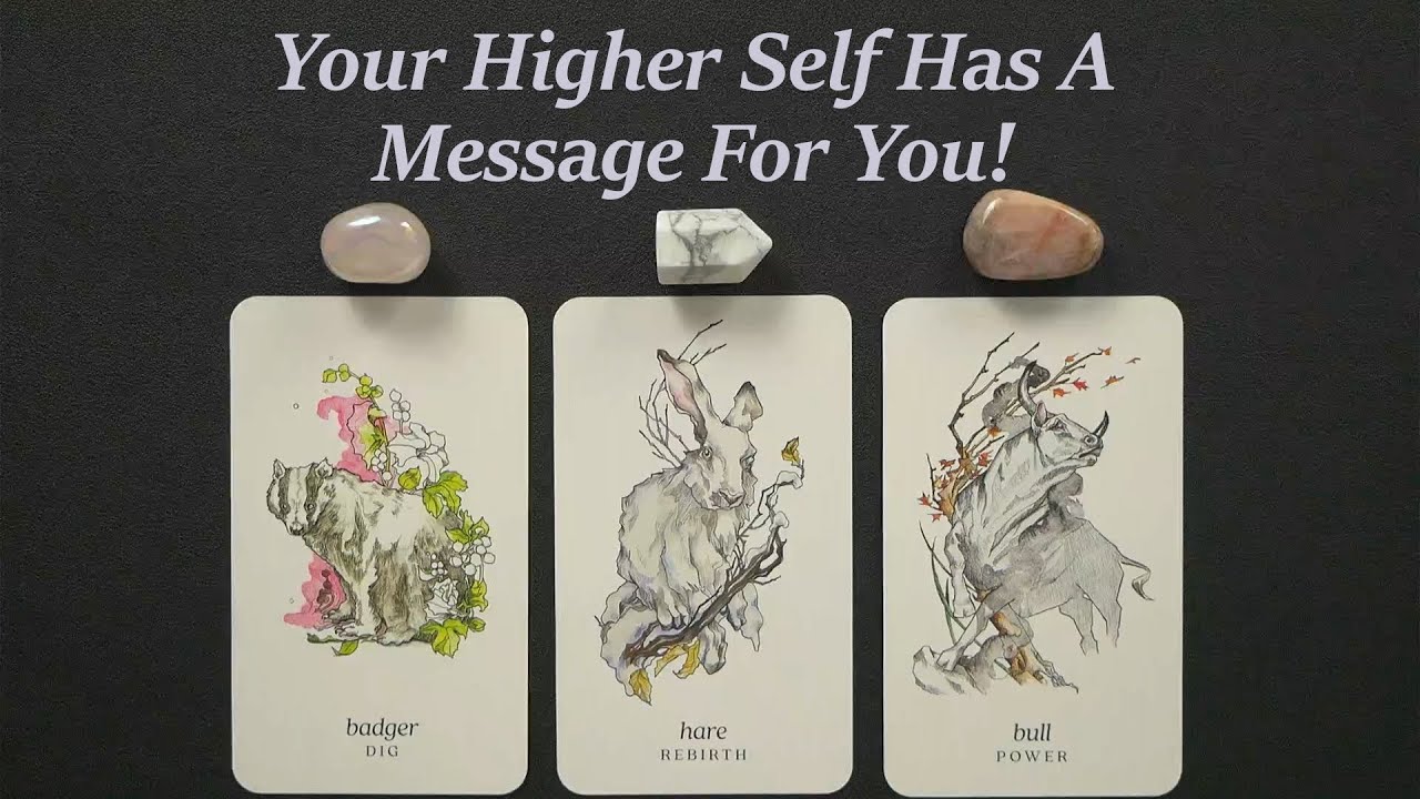 Your Higher Self Has A Message For You! ~Timeless pick a card tarot reading!