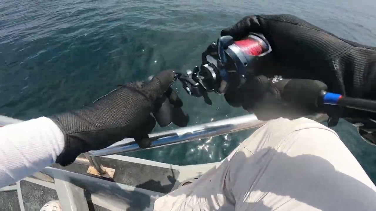 Teknik Slow Jigging Target Ikan Dasar Pulau Jarak Shimano Ocea Jigger Pirate Strike
