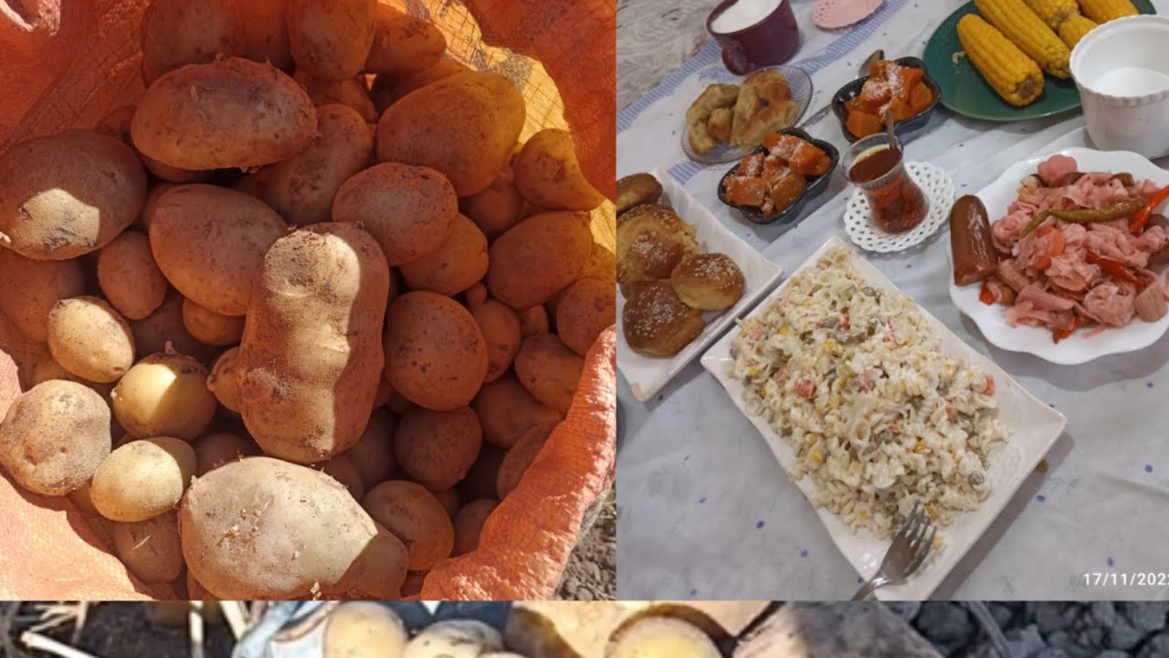 BEN EKMEĞİMİ TAŞTAN ÇIKARTIRIM BUGÜNDE KIŞLIK SOGAN PATATES TOPLADİM 🤲👍