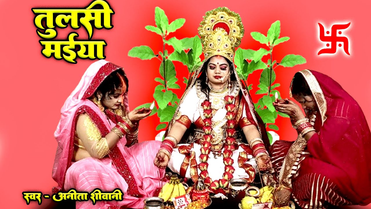 #VIDEO ||  छोटी मुंह की तुलसी के गाछीया  - तुलसी विवाह गीत  || Anita Shivani Tulsi Vivah Geet 2025 .