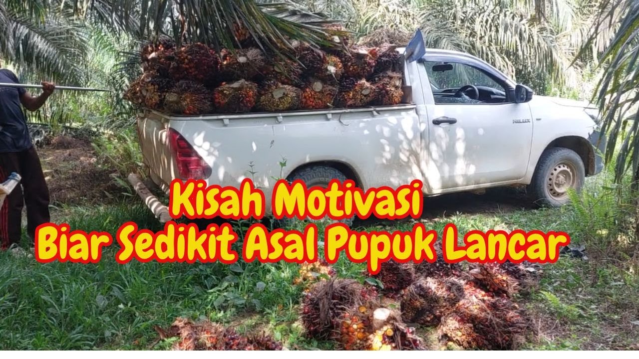 Kisah Sukses  Membuka Kebun Kelapa Sawit