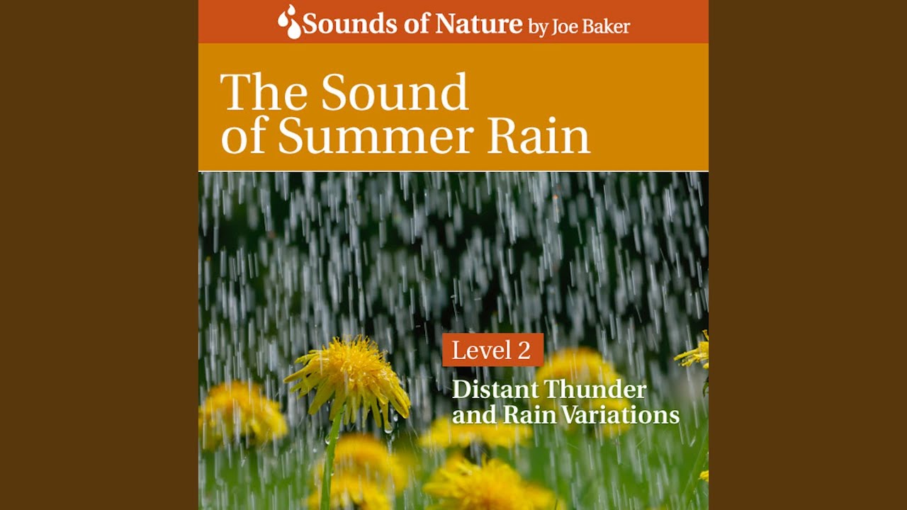 The Sound of Summer Rain