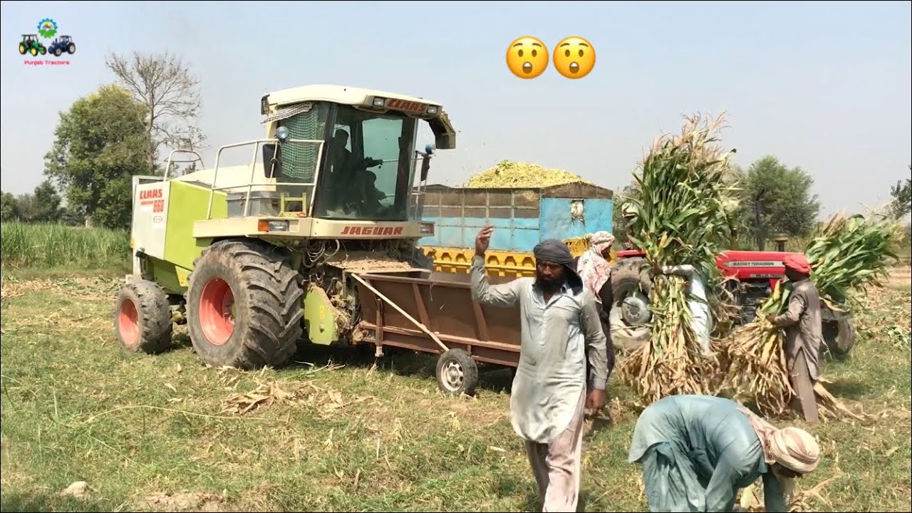 Claas Jaguar 860 Forage Harvester Making Maize Silage Directly From Field