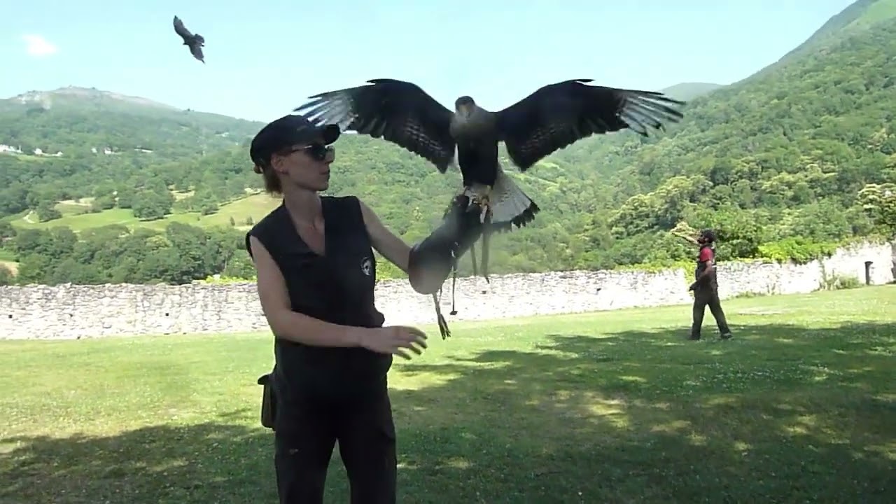 Le donjon des aigles 2