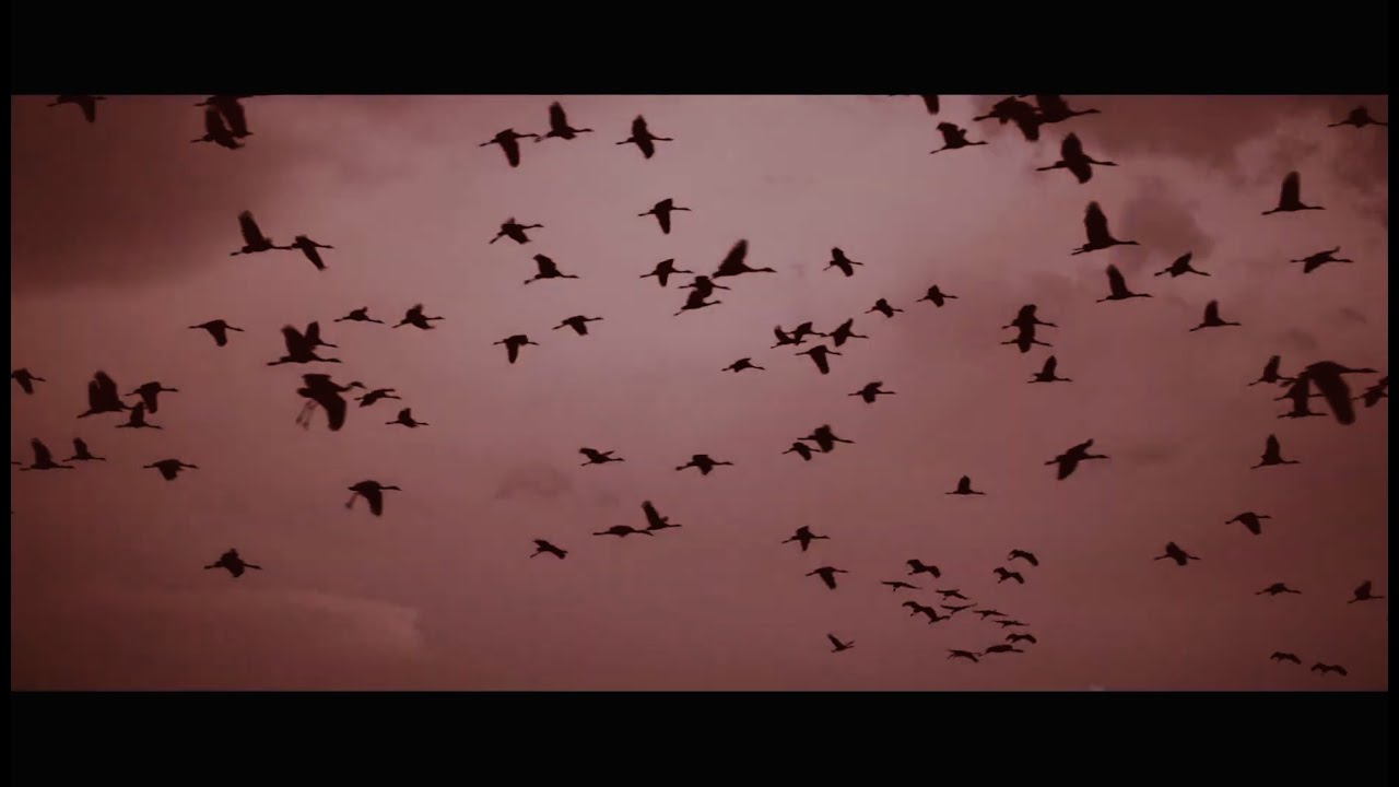 SPIRKÓ - LEVEGŐT 🌎  feat. KACSENYÁK