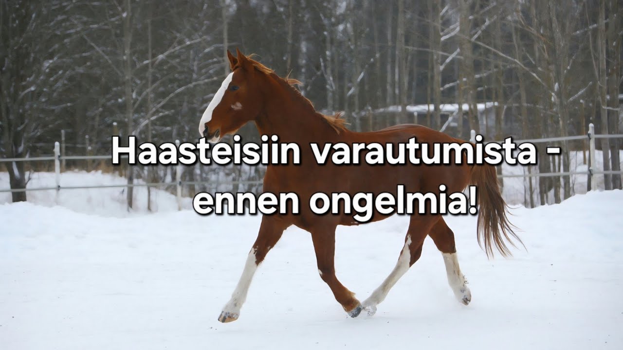 12 Winnien matka tasapainoon 