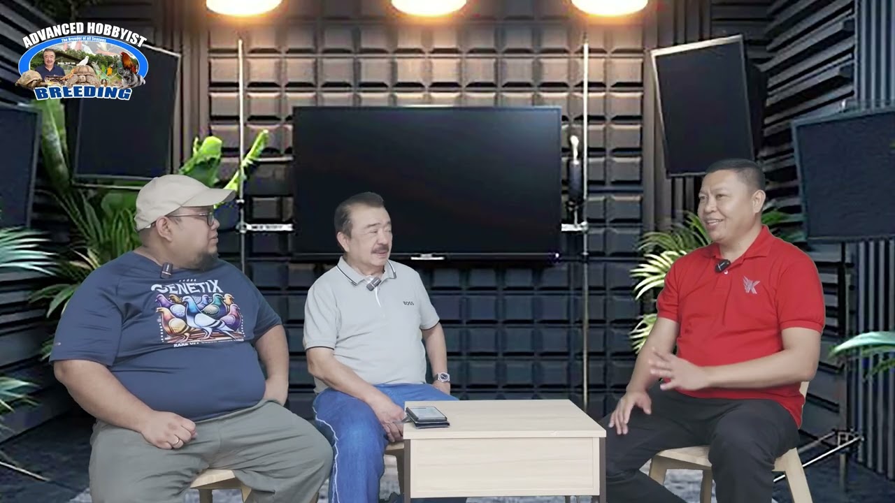 P1 | PIGEON TALK | Kalapatids Ronald Gonzales – The Champion Fancier Dominating the Race Scene! 🏆🔥