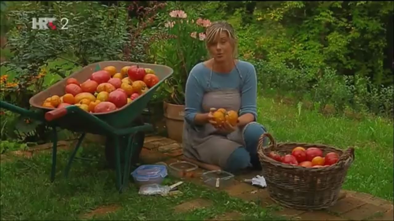 Vrtlarica: Eko rajčice