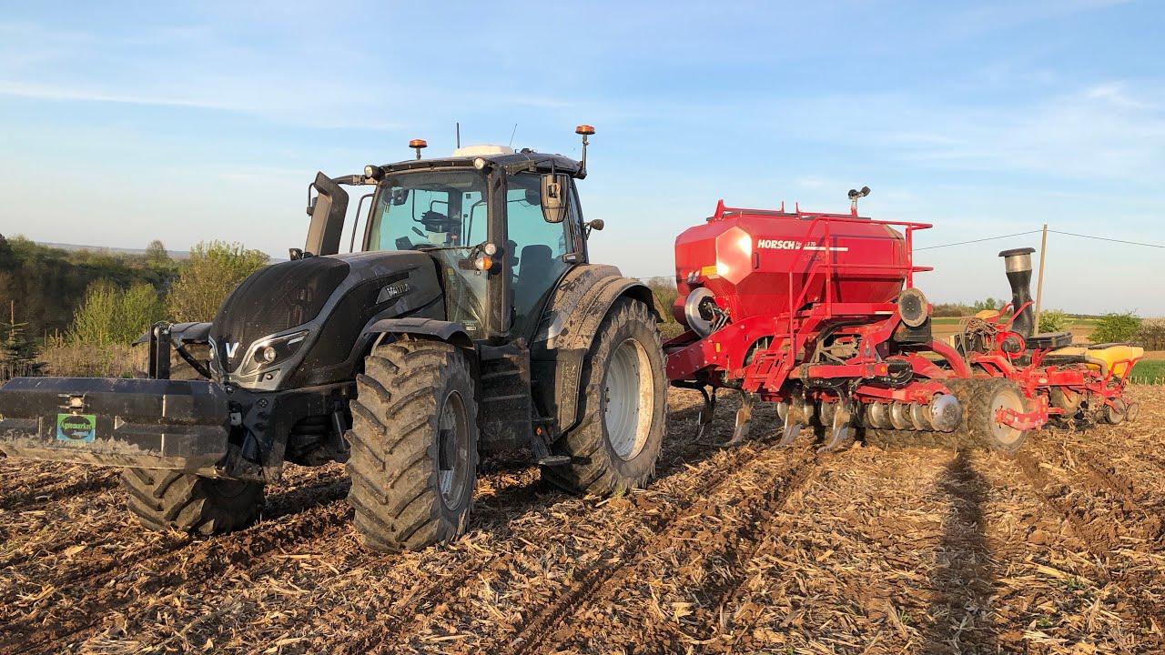 Pasowy siew kukurydzy Valtra t254 & Horsch Focus 3TD CabViev #6