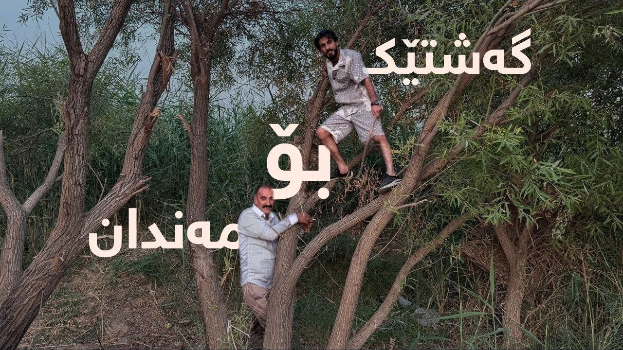 سه فه ره ك بو مندان 😂
