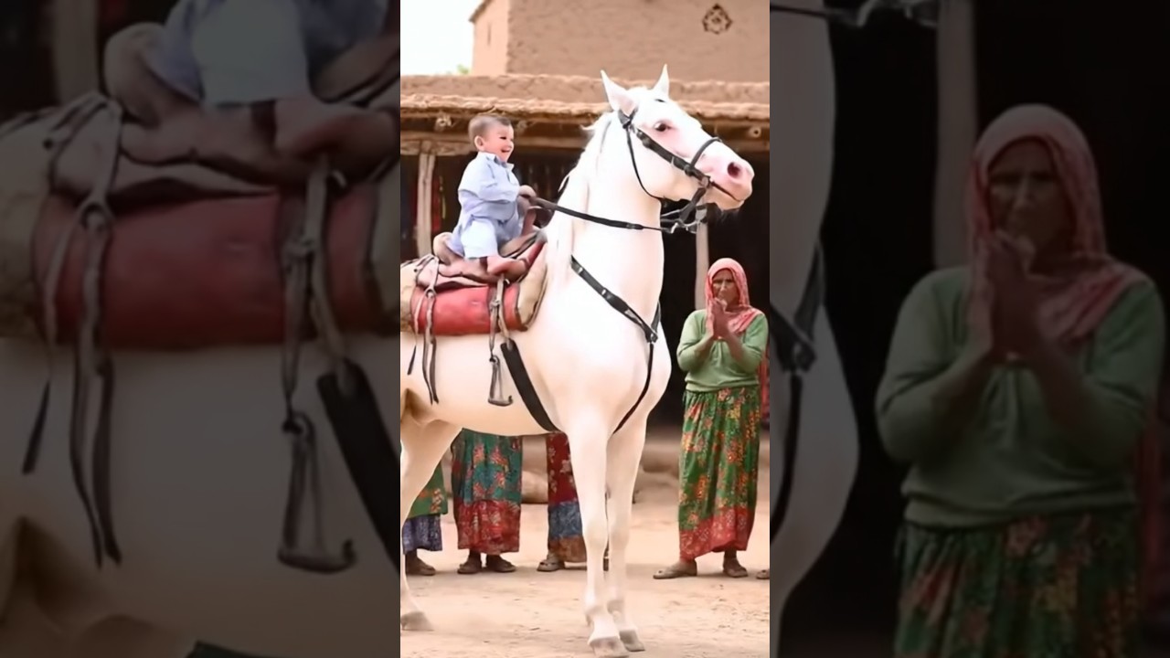 baby on horse dancing 128 #horse #horse #dance #animaldance #kaavaalaa #trendingdance #animals