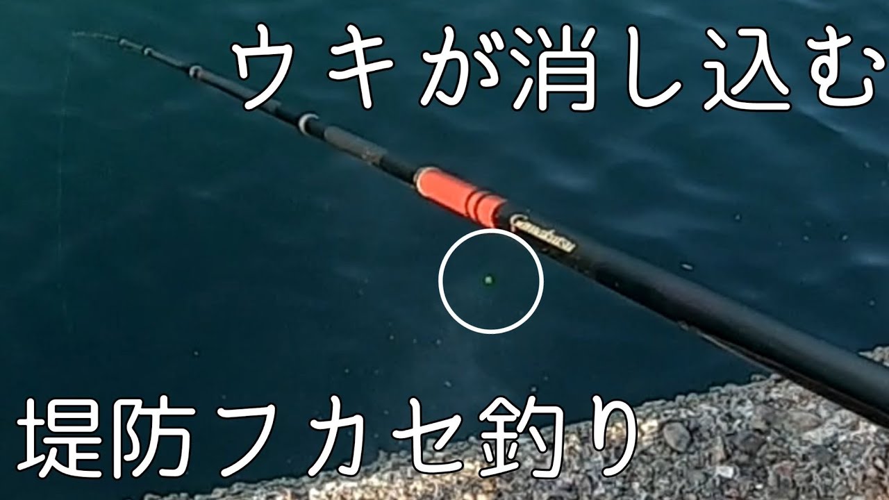 ウキが沈みまくるフカセ釣りが楽しすぎた！和歌山の堤防釣り【グレ釣り・波止グレ】