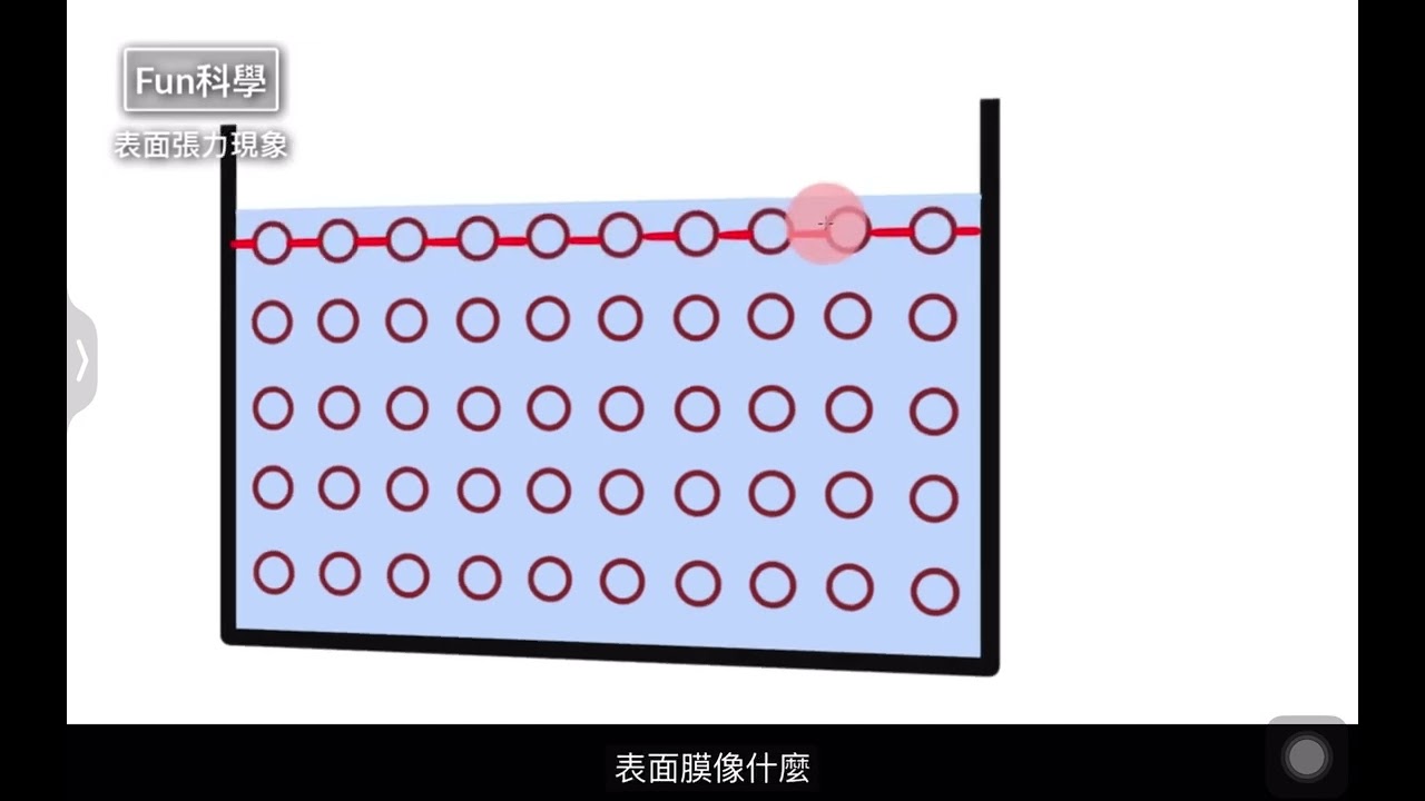 水的表面張力