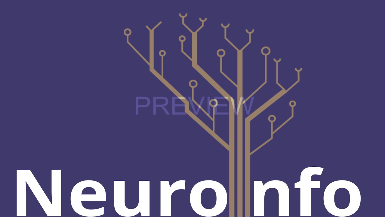 NeuroInfo 2